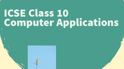 ICSE Computer Applications Class 10 Introduction | Java