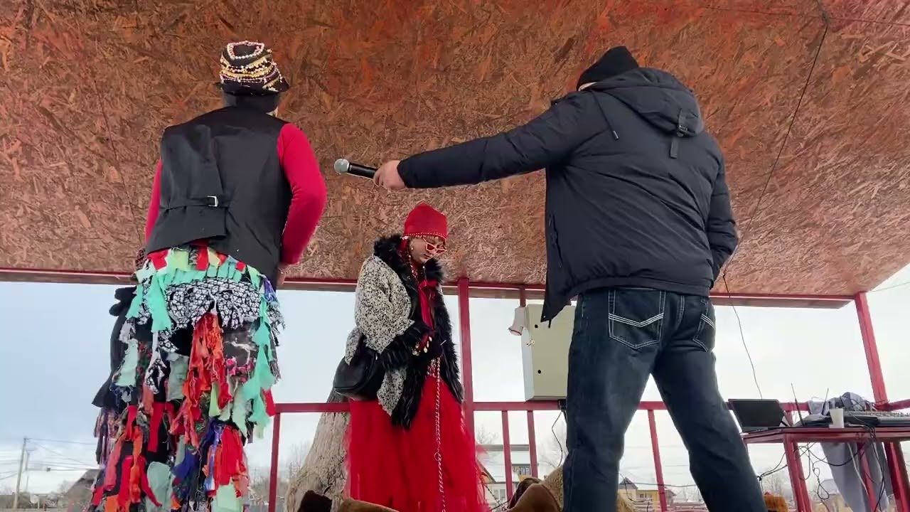 Ursii din Stejarii 2025 