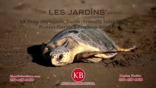 KB Patio Naples. Florida Says: Light Up Your Outdoors with Soft Solar and Save a Sea Turtle! screenshot 2