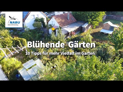 Video: 10 Medizinische Neuheiten In Heimischen Gärten