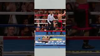 Famous Sergio Martínez brutally knocking out Paul Williams Net Worth