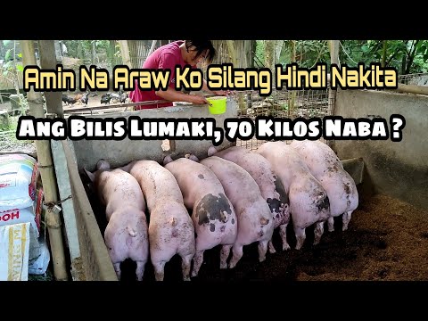 Video: Ano Ang Laki At Masa Ng Araw