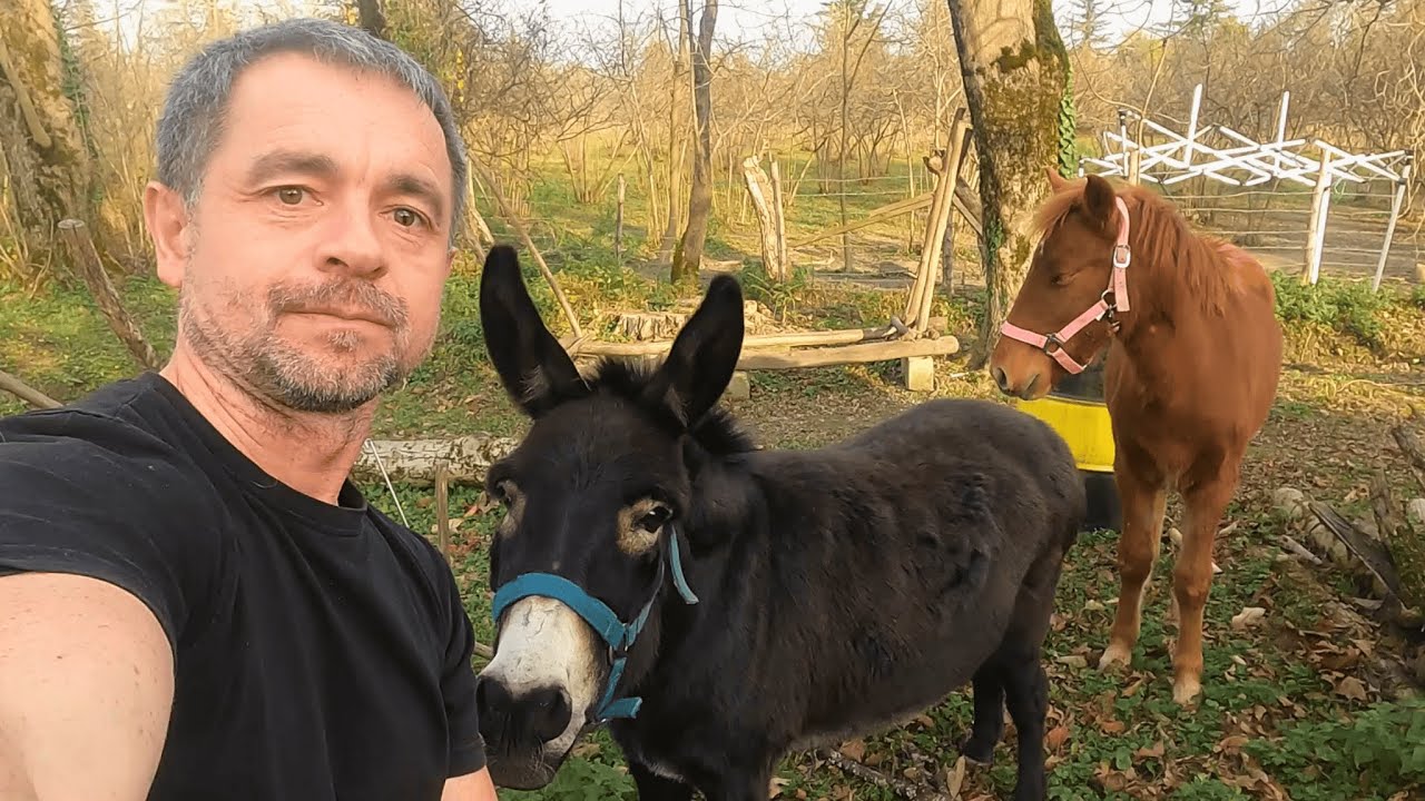 Скрытая жемчужина в Грузии: это место изменит твои планы