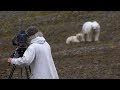 Stalked by a Polar Bear and Her Cub | BBC Earth