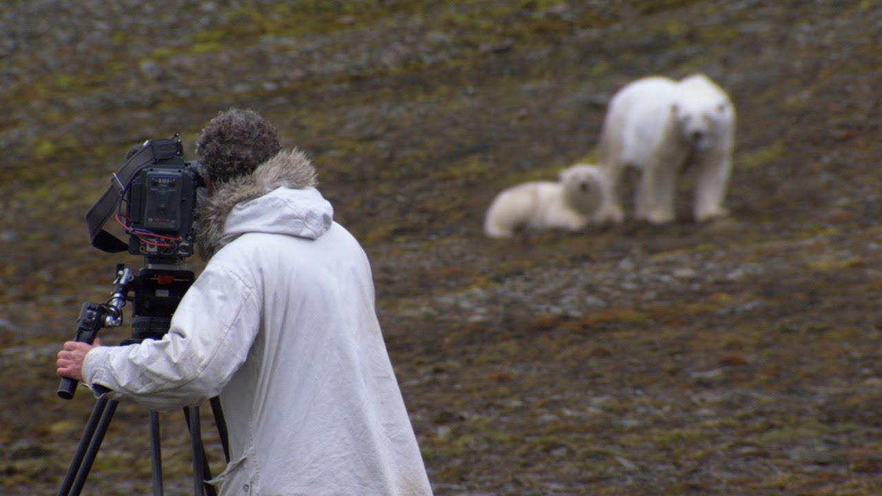 ⁣Hungry Mother Polar Bear and Cub Stalk the Film Crew | BBC Earth