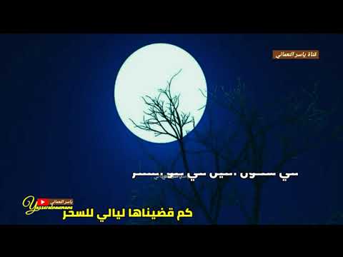 في سكون الليل في ضؤ القمر حالات واتساب للحبيب أبوبكر سالم بلفقيه محضاريات