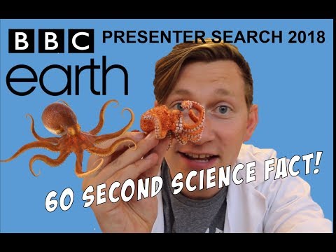 Video: Ce tentacule are caracatița?