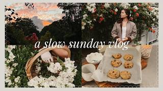 A Sunday at home in the countryside🌲🪵 Gardening, Baking Cookies &amp; Home Projects