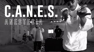 Anestesia - C.A.N.E.S. (Video Oficial) chords