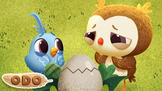 The Surprise Egg🥚 - Ep 1 | Odo Full Episode | Kids Cartoons - Fun Videos for Kids