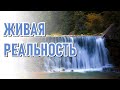 🔹Живая Реальность