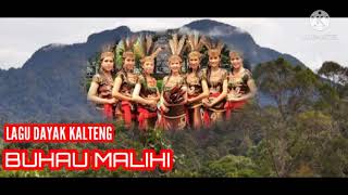 Download Lagu LAGU DAYAK BUHAU MALIHI MP3