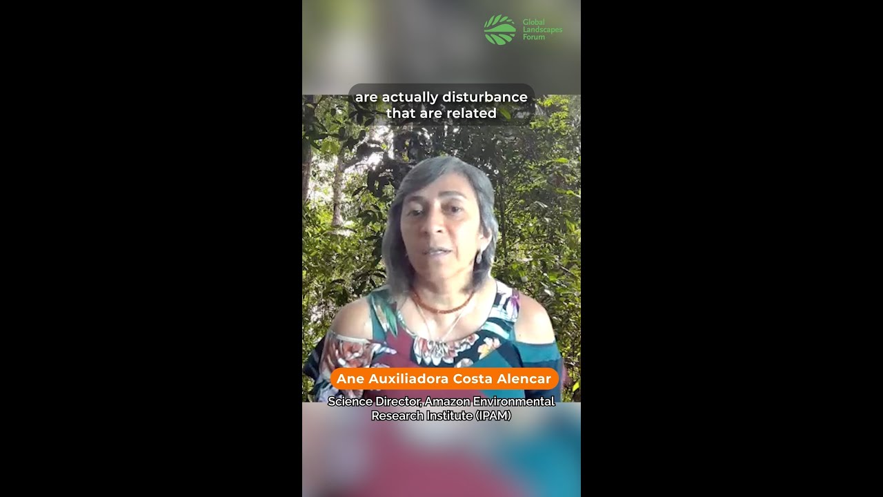 We have to save our carbon sinks