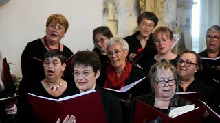 Les feuilles mortes  (J. Prévert, J. Kosma)