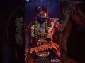Pushpa 2 ka box office collection 15 dinon ka