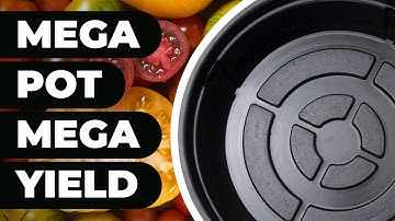 Maximise Your Growth with MegaPot Modules: The 16L & 22L Hydroponic Powerhouses