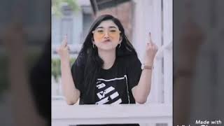 Senorita (versi bidadari tribun Arema)