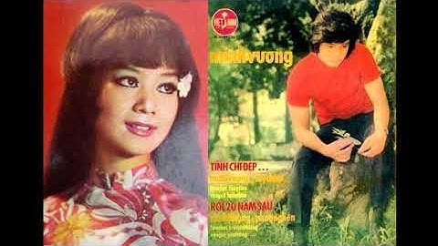 Tân Cổ - Tình Chỉ Đẹp - Ns. Mỹ Châu - Ns. Minh Vương