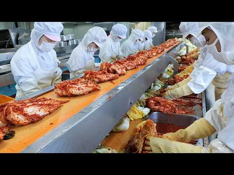 Korean Food Factory Collection