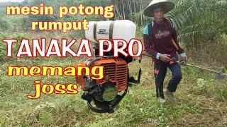 Potong rumput /terbas di lahan sawit menggunakan mesin rumput(@wonggabres8427 )