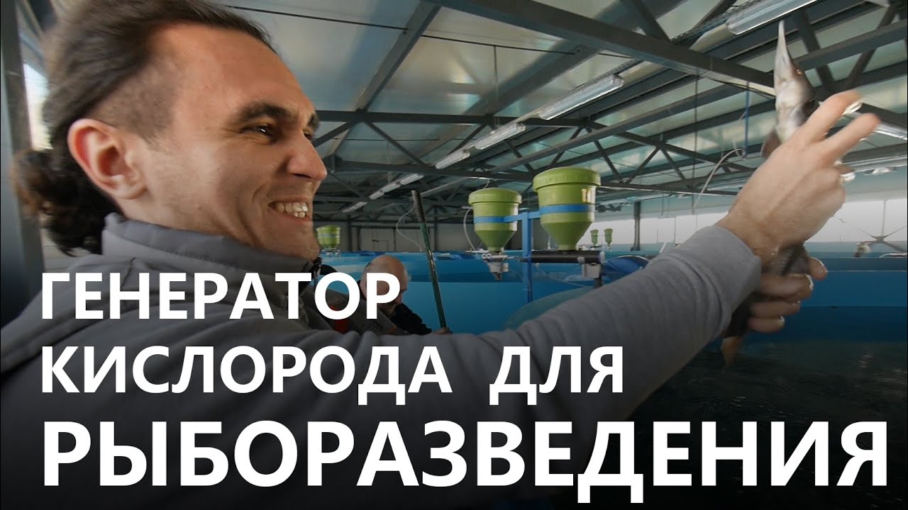 Subnautica генератор кислорода Subnautica генератор кислорода