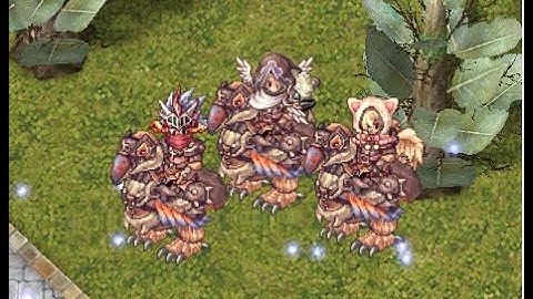 Crusader - Grand Cross