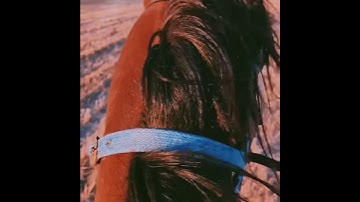 تلاوة من سورة الحاقة