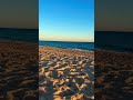 Golden light #shortvideo #youtubeshorts #youtubeshort #valedolobo #algarve #portugal #tiktok
