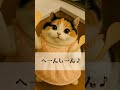 【AI猫】高カロリー大好き猫の「カロリー廃!」🐈🐈🐈