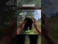 2 фишки с медведями #shorts #rust #раст #расттутор