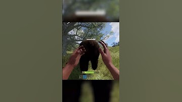 2 фишки с медведями #shorts #rust #раст #расттутор