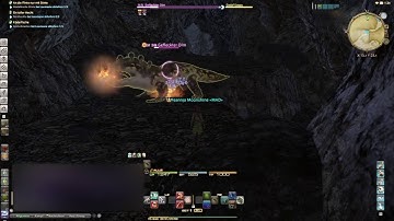 BOTS while Fishing in FFXIV