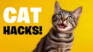 Instantly Improve Your Cat's Life with These 7 Steps