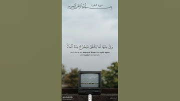 ثم قست قلوبكم من بعد ذلك | سورة البقرة | أحمد العجمي #قرآن #اكسبلور #ذلك_الدين_القيم