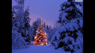 Video Christmas card