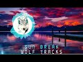 Sunbreak  edm dubstep gaming music 2022 prod by wolf tracks