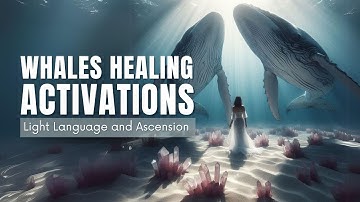 Whale Healing Sound Activations - Light Language