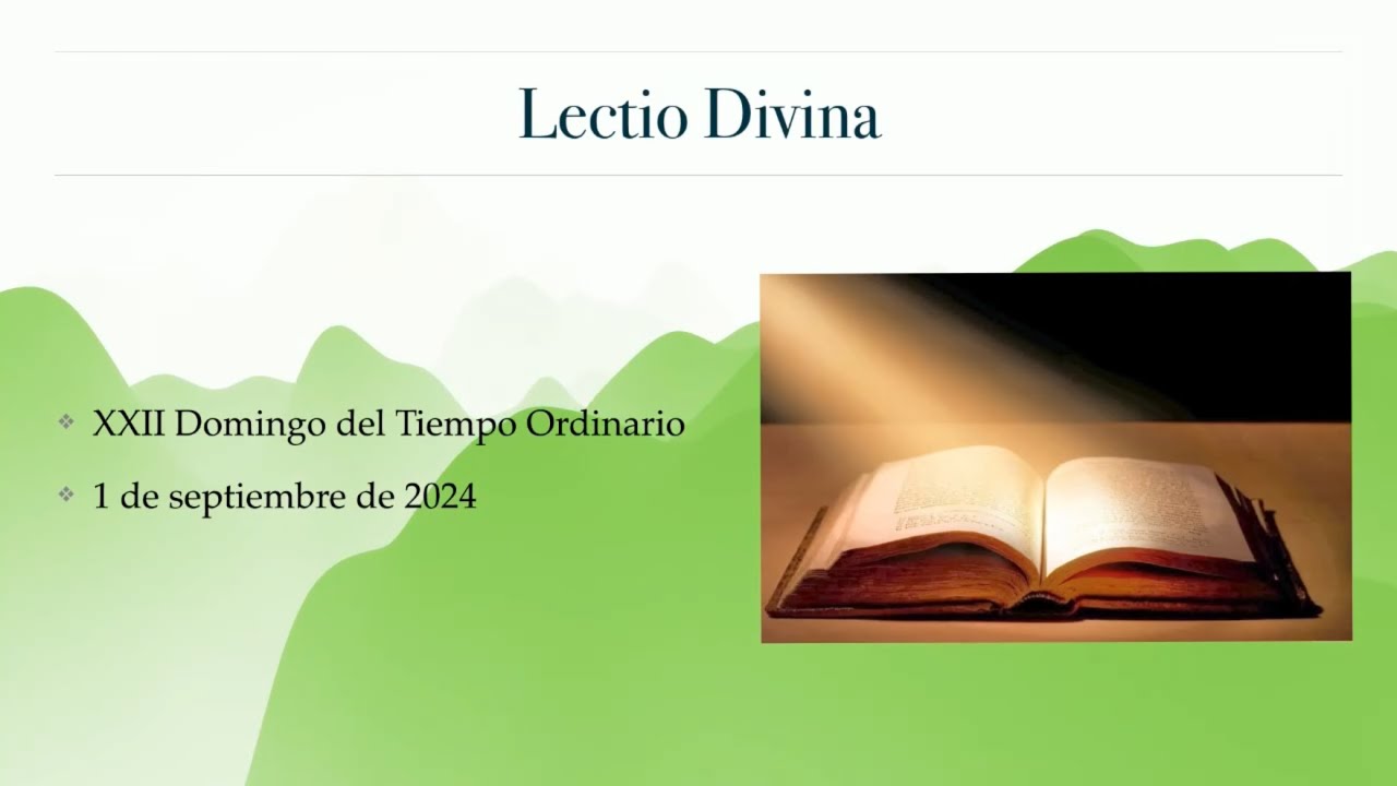 Lectio Divina XXII Domingo del Tiempo Ordinario - YouTube