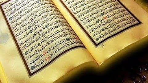 القرآن الكريم | المصحف المرتل الكامل | القارئ أيمن الديب