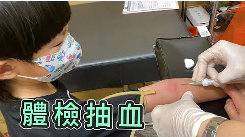 第一次健康體檢抽血「小貫頭日常生活」 - 天天要聞