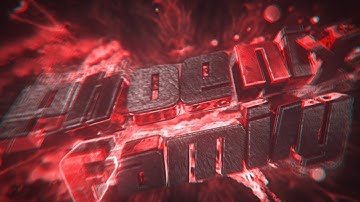 #997 INTRO PARA Phoenix Family