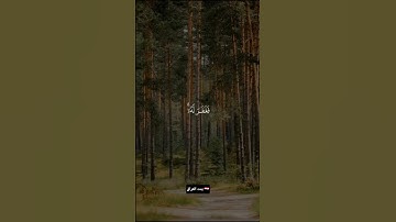 #القرآن_الكريم اللهم اجعل القران الكريم ربيع قلوبنا ونور صدورنا وذهب احزاننا #
