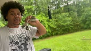 Tiny-G Days Official Video