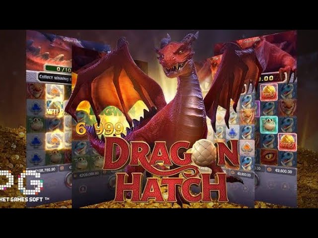 Dragon Hatch, aprenda a jogar o jogo do dragão - Portal O Dia