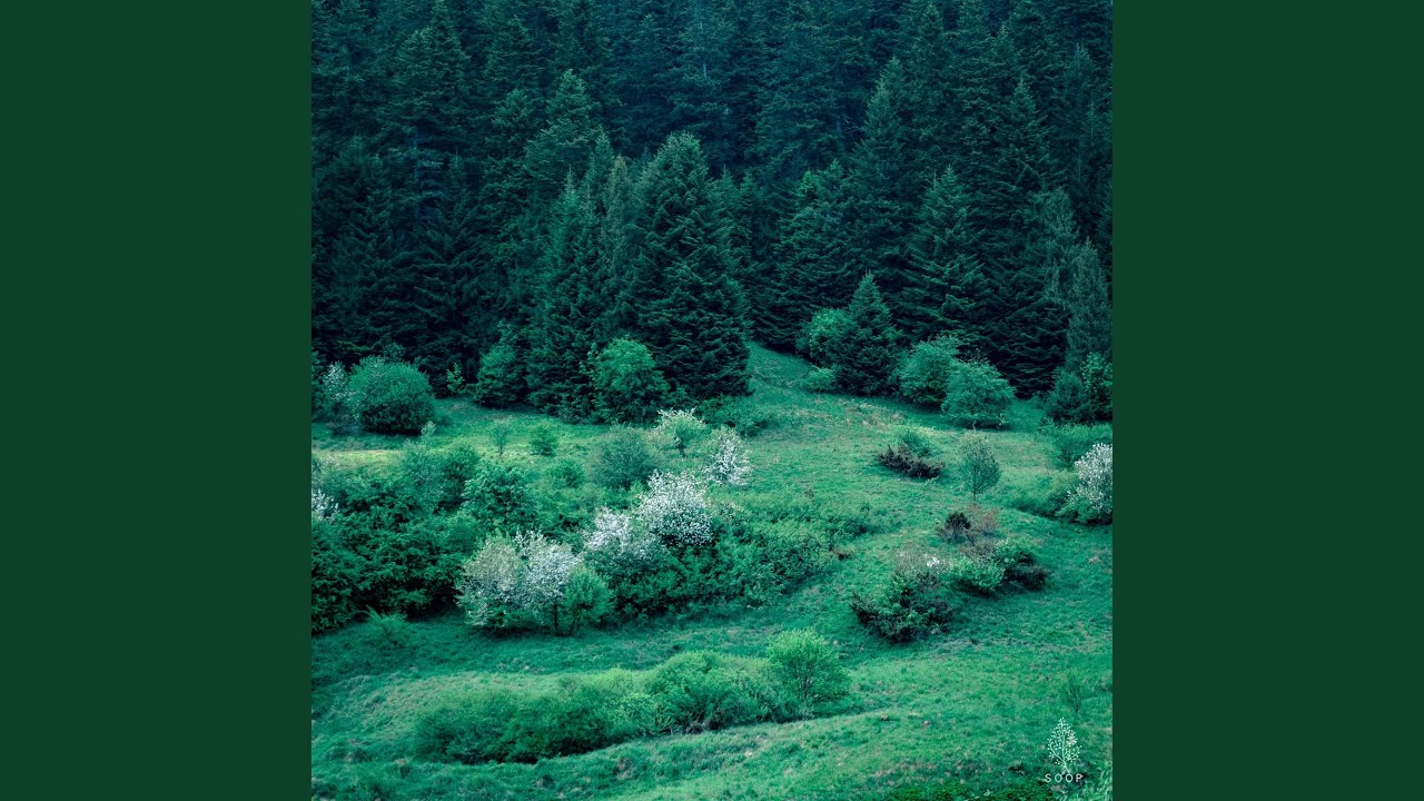 Chopin : Prelude No.15 In D Flat Major Op.28-15 'Raindrop'