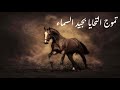 نشيد تـموج التحايا بجيد السماء