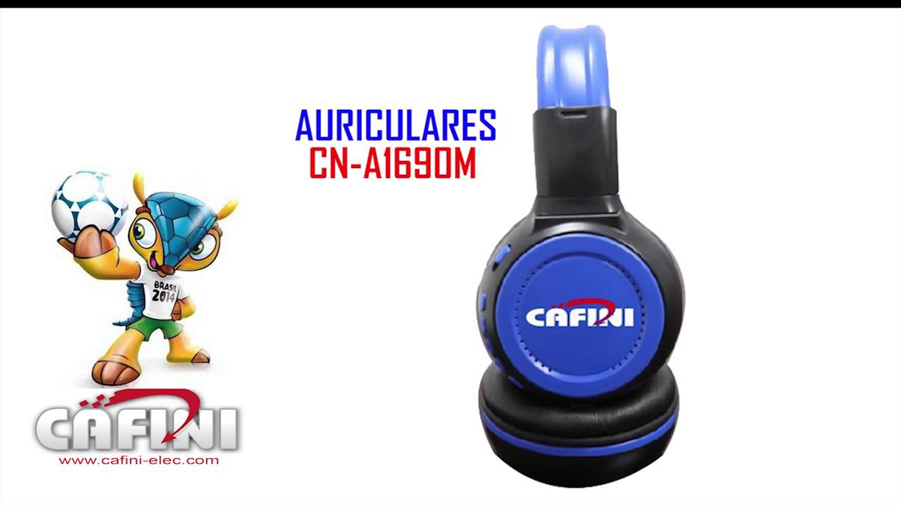 Welcome to CAFINI