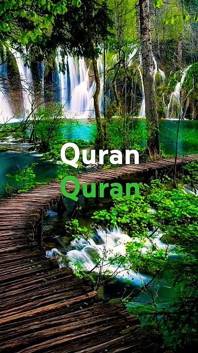 Quran Urdu learning translation