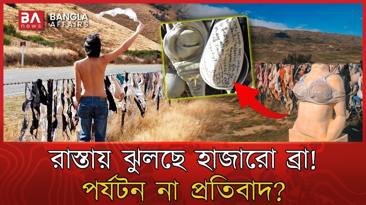 কীভাবে চারটি `ব্রা' হয়ে উঠল বিশ্ববিখ্যাত পর্যটন আকর্ষণ | Bra Fence | NewZealand | Bangla Affairs