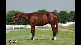 HIP 59 NUTHERMOUSENTHESOUTH